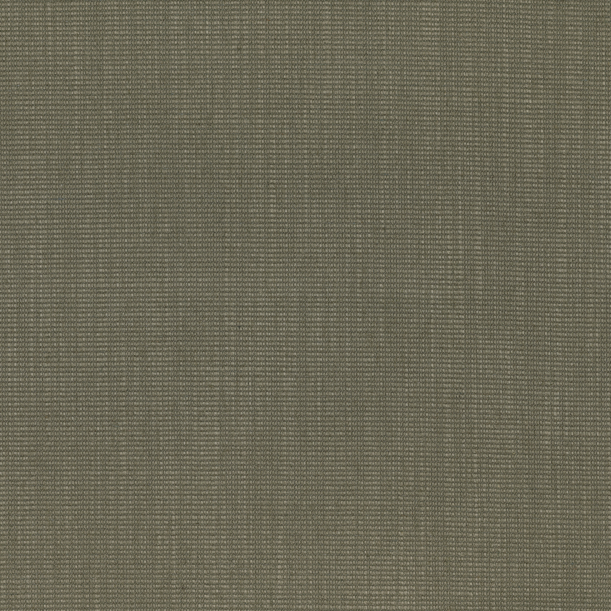 TATAMI 11